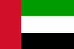 阿联酋U23 战队徽标